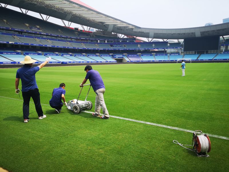 1568205377837729.jpg 1.jpg