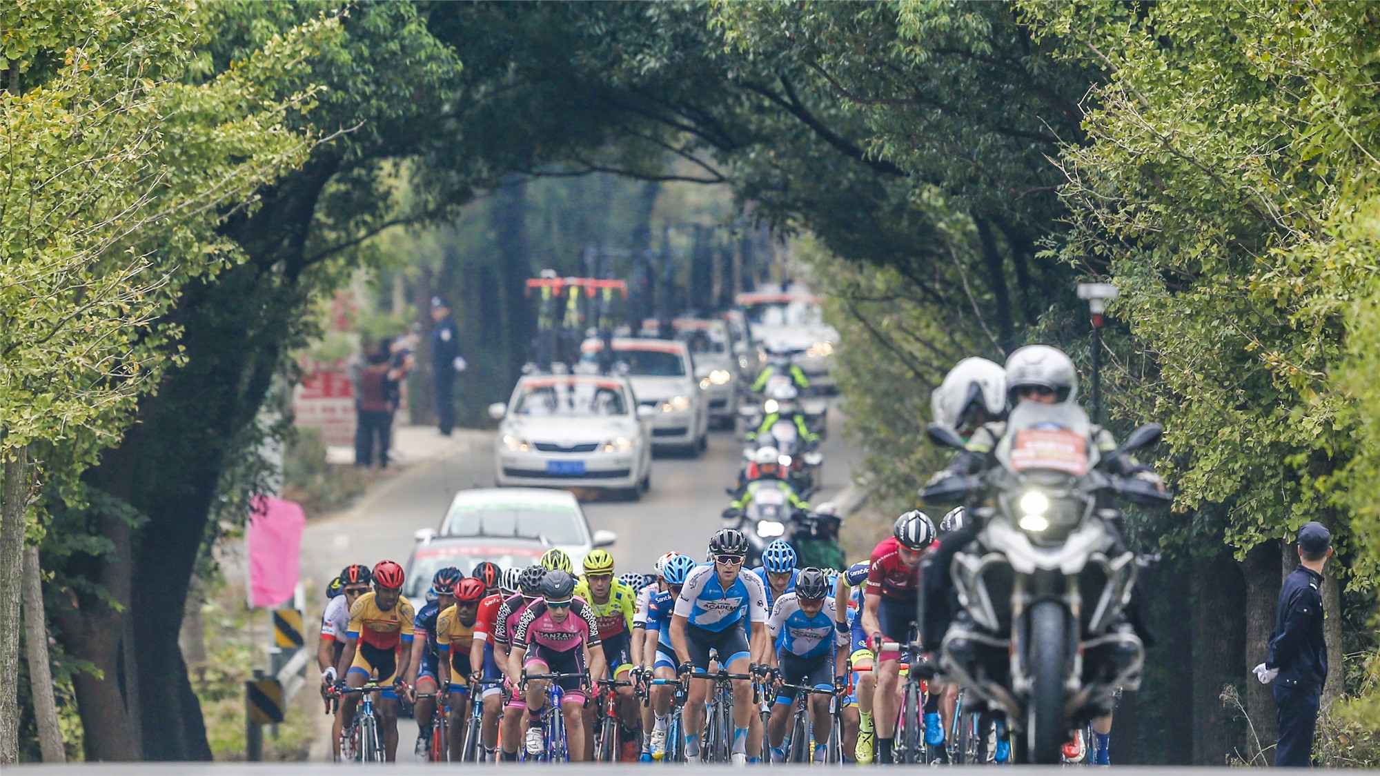 1569804784543824.jpg 1569804784543824.jpg