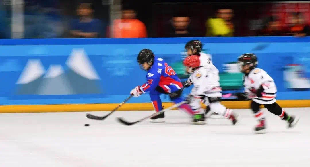 1588814858444323.jpg 1588814858444323.jpg