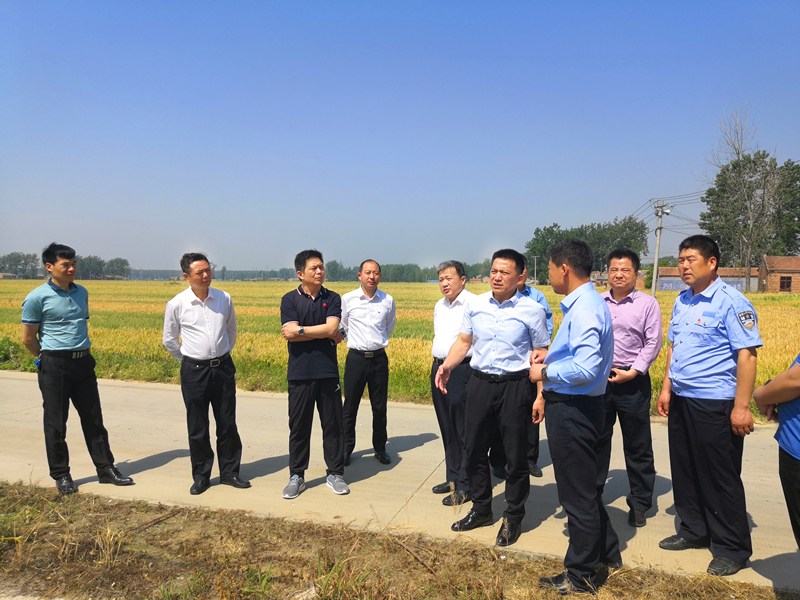 1590119771407567.jpg 1590119771407567.jpg