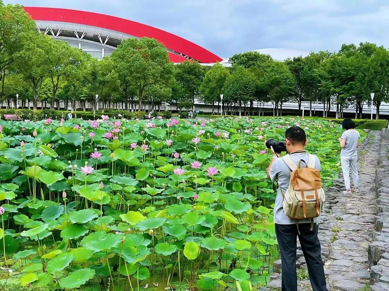 1716426388409179.jpg 1716426388409179.jpg