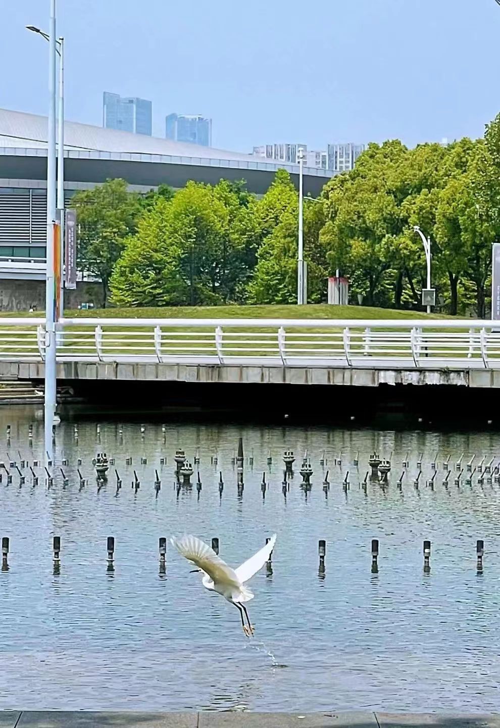 1716426407618487.jpg 1716426407618487.jpg