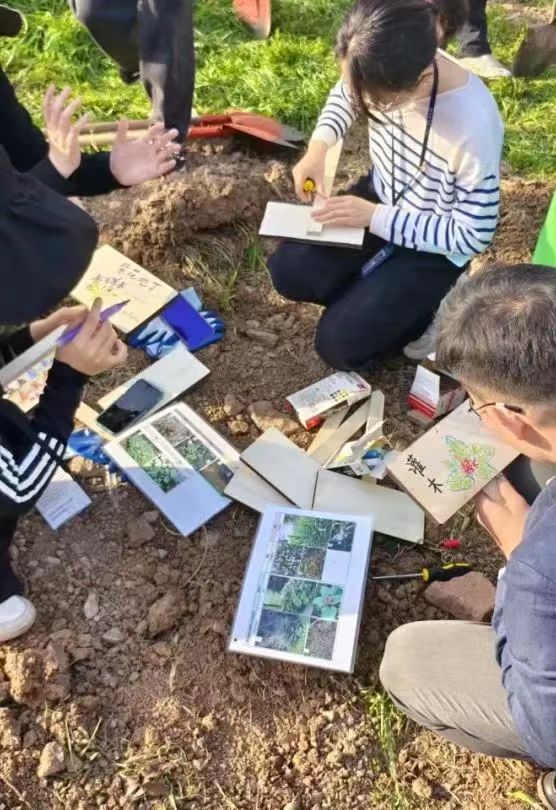 1716426425852932.jpg 1716426425852932.jpg