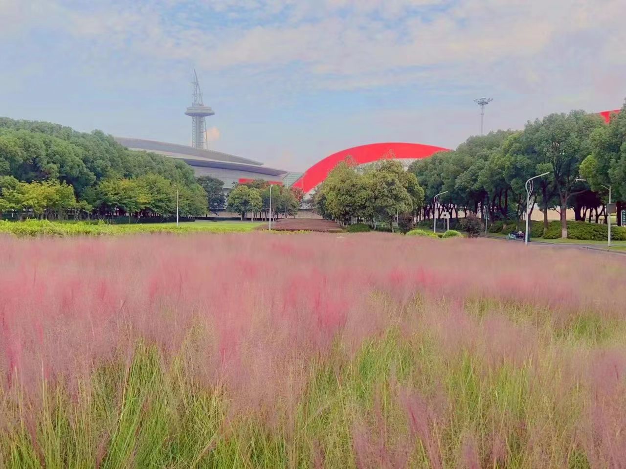 1716426444740827.jpg 1716426444740827.jpg